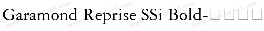 Garamond Reprise SSi Bold字体转换